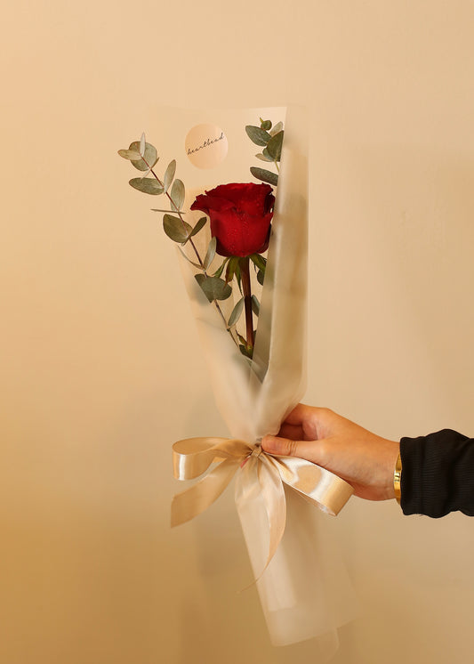 SINGLE ROSE bouquet