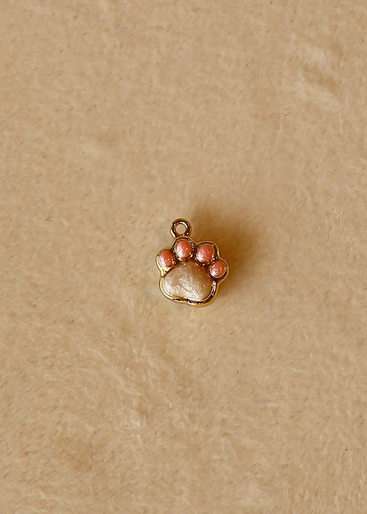 PAW charm
