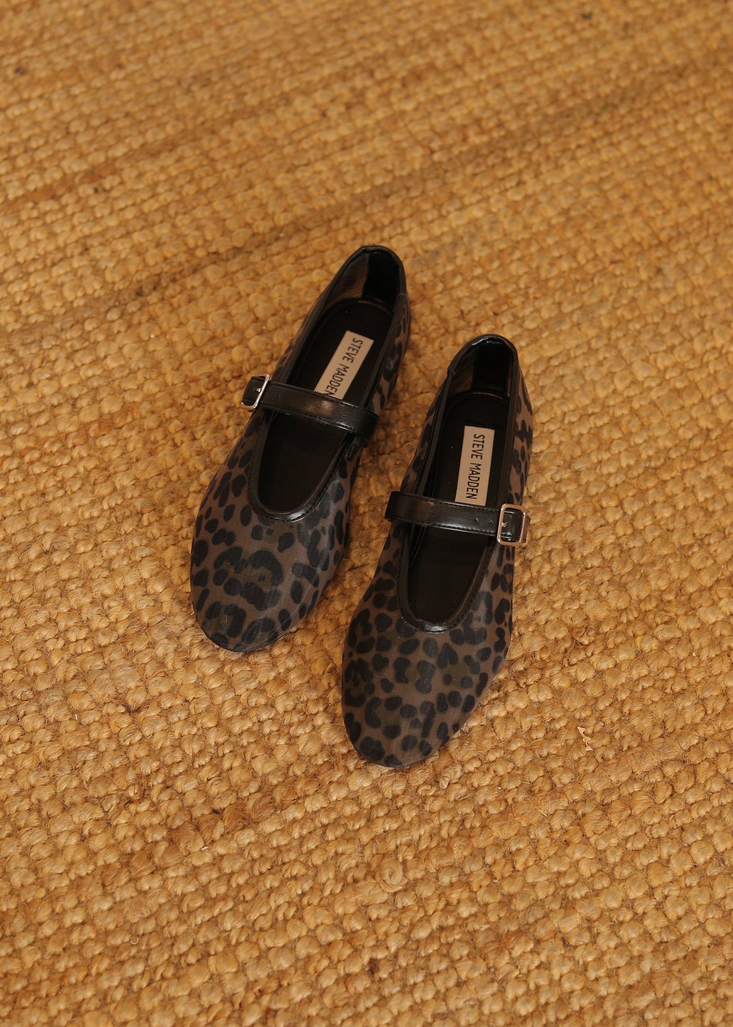 STEVE MADDEN LEOPARD