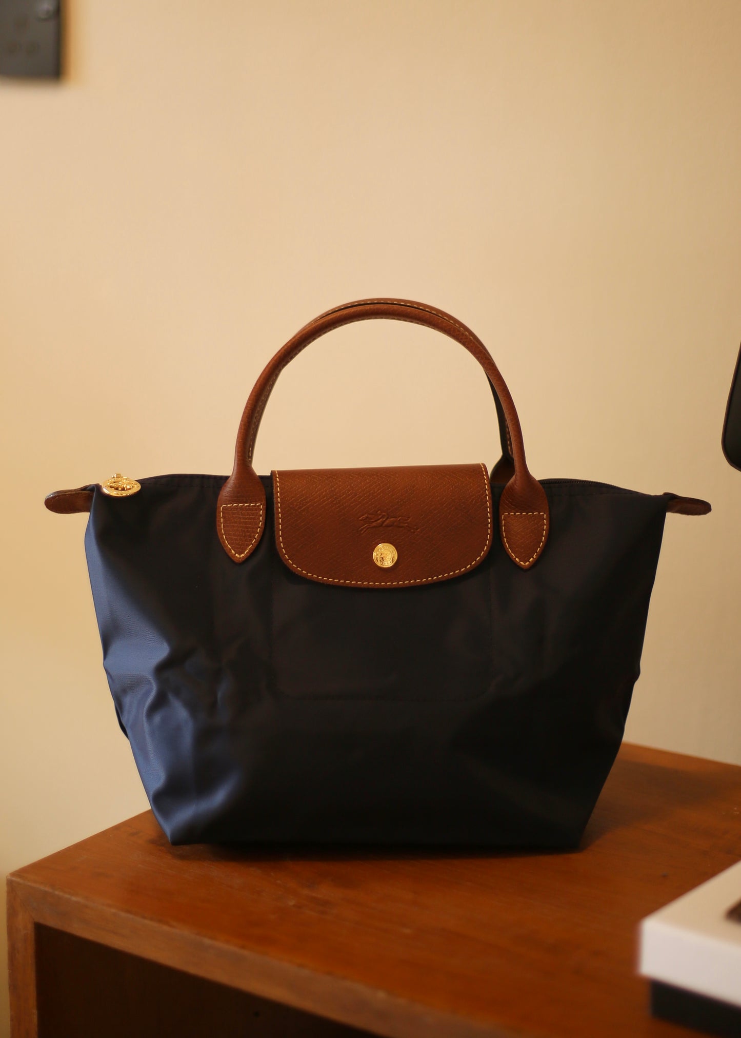 INSTOCK LONGCHAMP Small Le Pliage Tote Bag